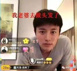 娱乐圈系统吃瓜电视剧,瓜田李下，明星们的甜蜜苦涩