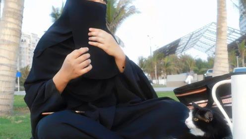 吃瓜前线娱乐君是谁,揭秘娱乐圈幕后真相的神秘人物