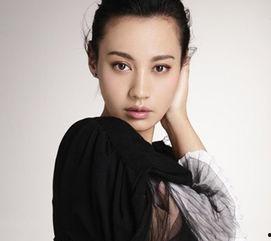 陆琴个人资料,才华横溢的艺术家，人生轨迹与成就综述